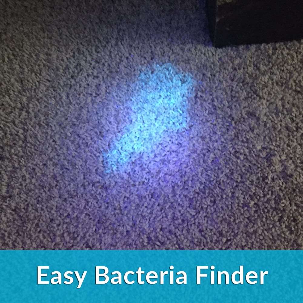 Carpet Cleaning 10 Watt UV Blacklight For Pet Urine Stains Detection 