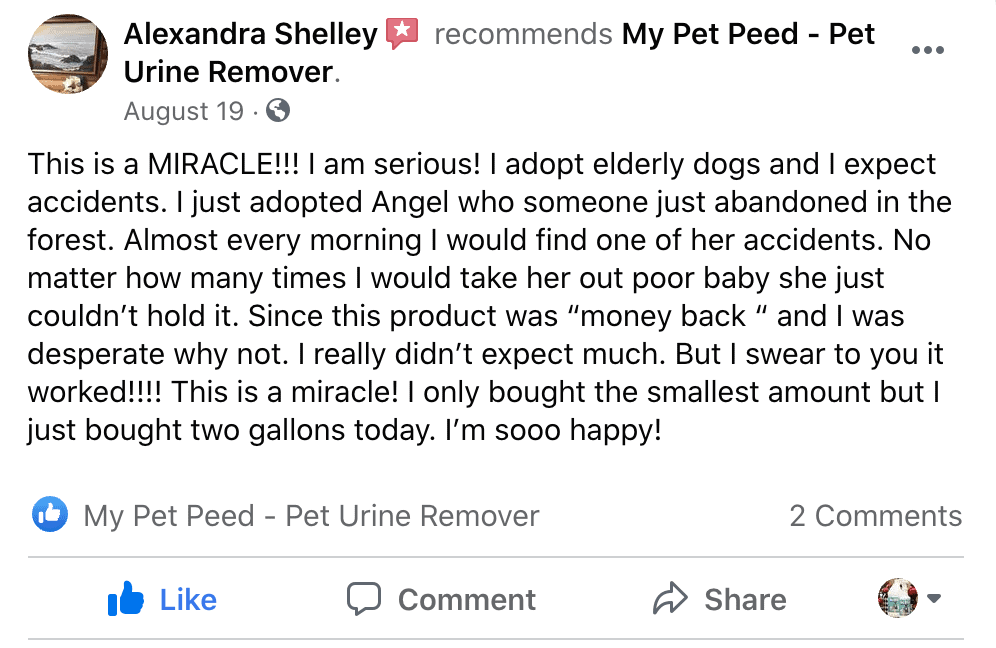 This is a miracle! My Pet Peed Pet Urine Remover