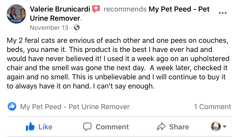 For Cats My Pet Peed Pet Urine Remover
