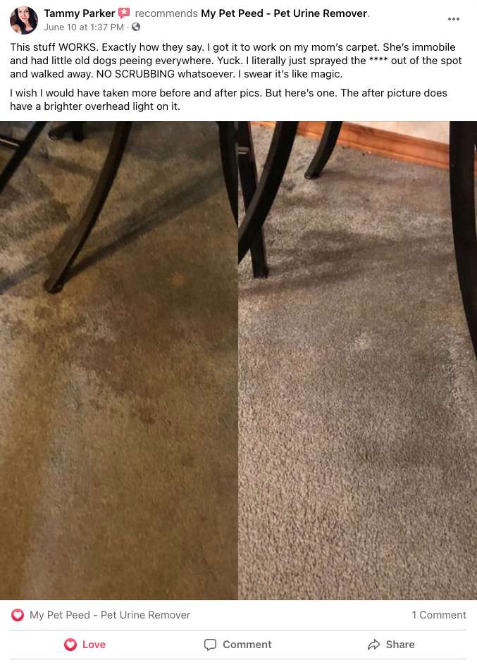 This stuff WORKS My Pet Peed Pet Urine Remover