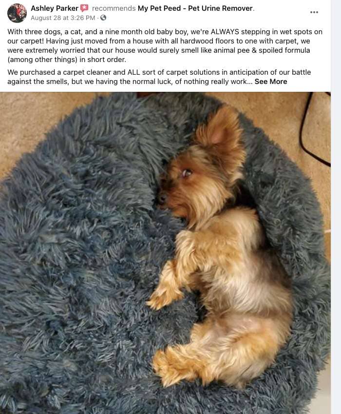 This Stuff is Legit! My Pet Peed Pet Urine Remover