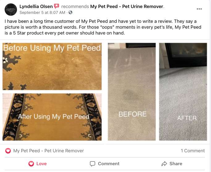My Pet Peed is a 5 Star Product My Pet Peed Pet Urine Remover
