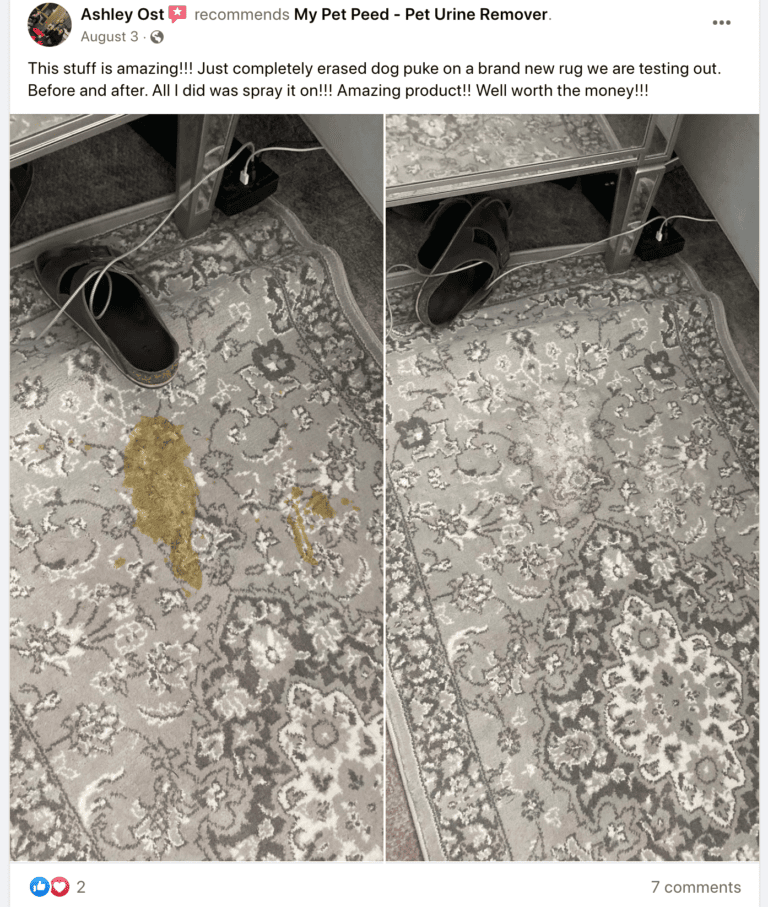 This Stuff is Amazing! My Pet Peed Pet Urine Remover