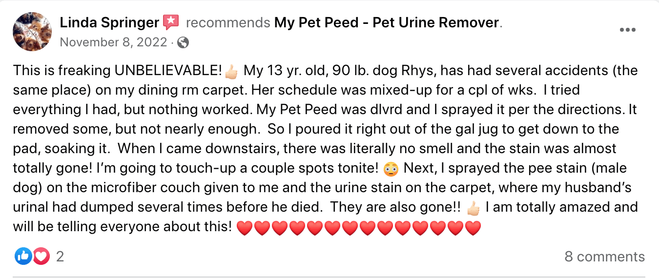 UNBELIEVABLE! My Pet Peed Pet Urine Remover
