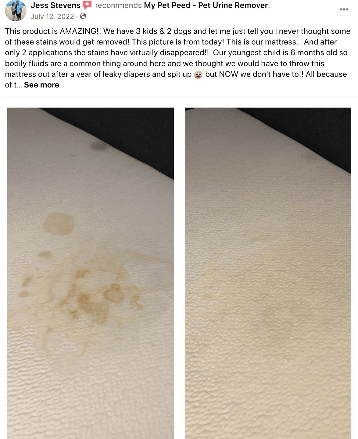 Amazing!! My Pet Peed Pet Urine Remover