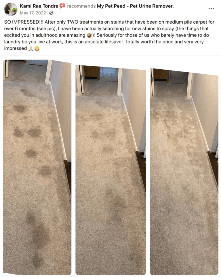 SO IMPRESSED!!! My Pet Peed Pet Urine Remover